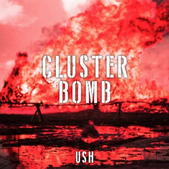 Cluster Bomb by USH