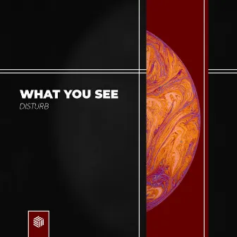 What You See by DISTURB