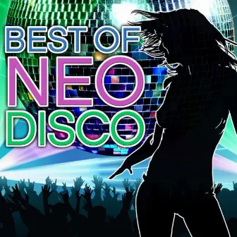 Best of Neo Disco by Count Dee's Silver Disco Explosion