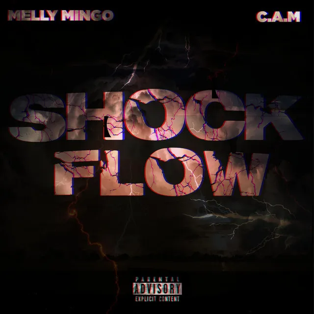 Shock Flow