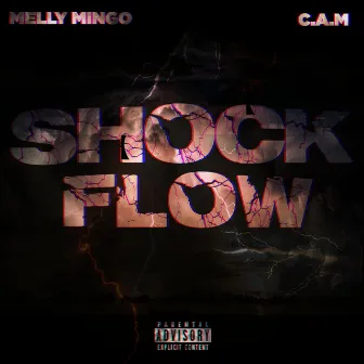 Shock Flow by C.A.M