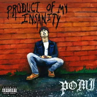 Product of My Insanity by Pomi