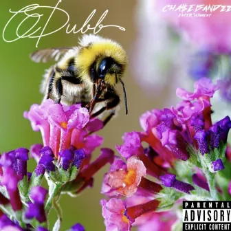 Bumblebees by Odubb