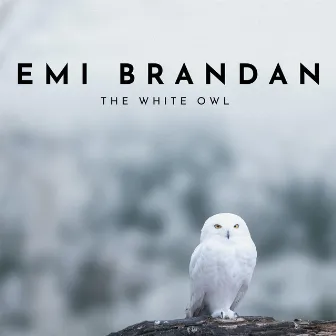 The White Owl by Emi Brandan