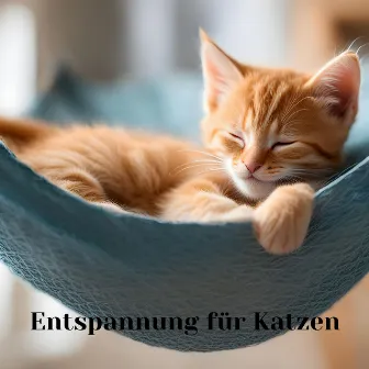 Entspannung für Katzen: Therapiemusik zum Entspannen deines Kätzchens, Schlaflied für dein Haustier by Musik für Katzen