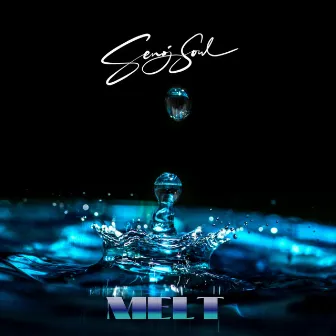 Melt by Senoj Soul