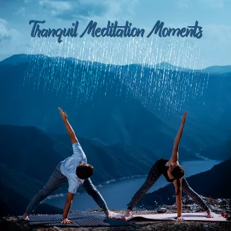 Tranquil Meditation Moments by Mental Healing Consort