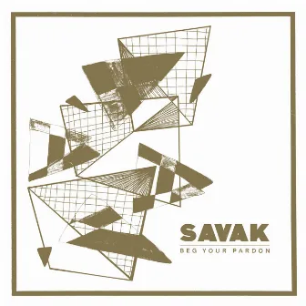 Beg Your Pardon by Savak