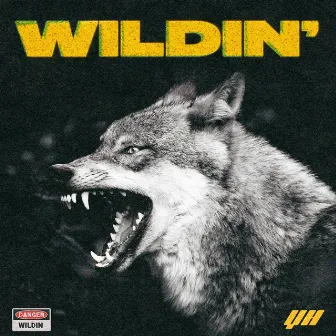 Wildin by YH