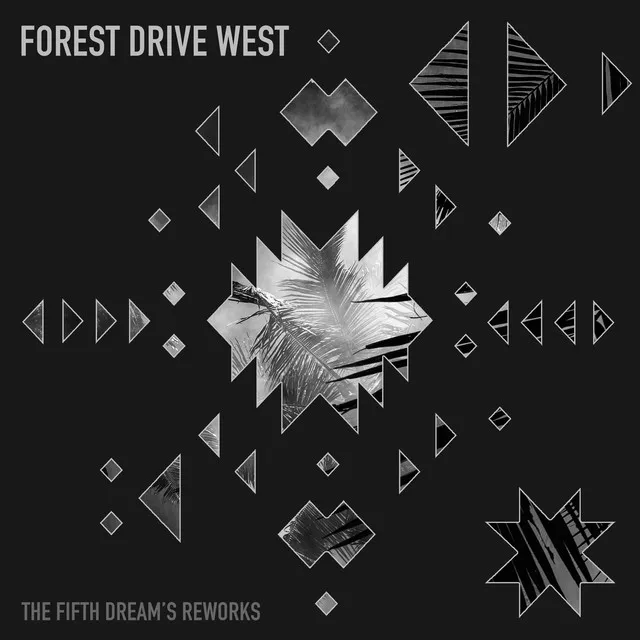 Night in Palmtree - Forest Drive West Rework