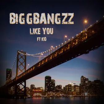 Like You by Biggbangzz