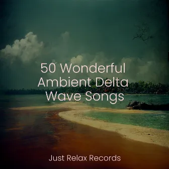 50 Wonderful Ambient Delta Wave Songs by Calm Music for Studying