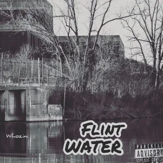 Flint Water by whozini