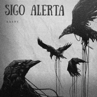 SIGO ALERTA by Salty