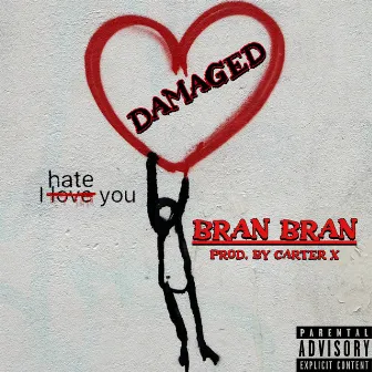 Damaged by Bran Bran