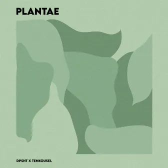 Plantae by tenkousei.