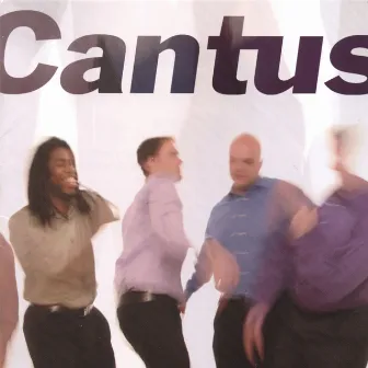 Cantus by Unknown Artist