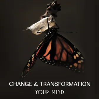 Change & Transformation Your Mind – Motivation Music for Moment of Creative Bliss, Live Your Life, True Nature of Human Emotions by Yoga Asanas Music Paradise