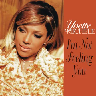 I'm Not Feeling You by Yvette Michele