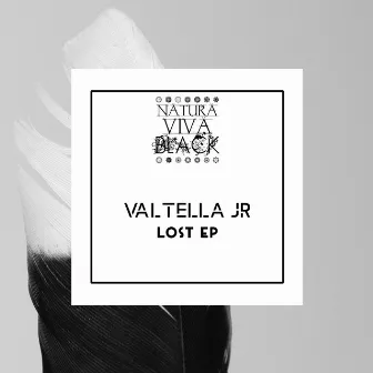 Lost by Valtella Jr.