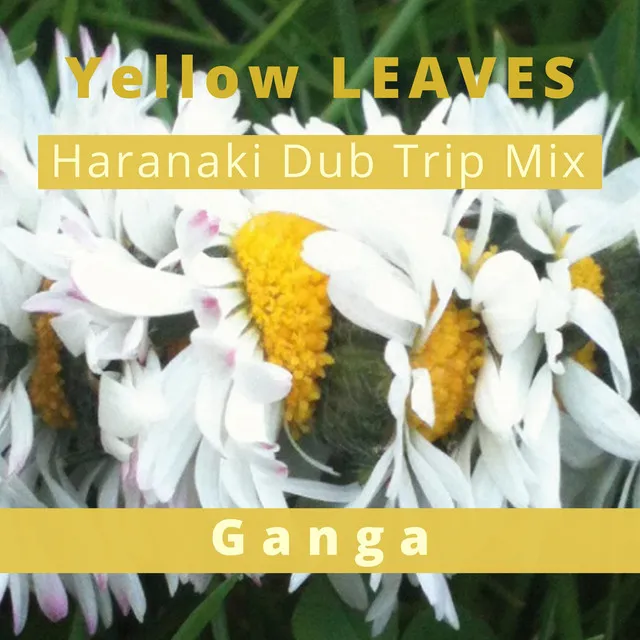 Yellow Leaves - Haranaki Remix