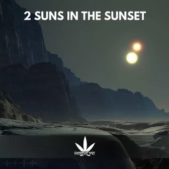 2 Suns In The Sunset by Vitamin THC