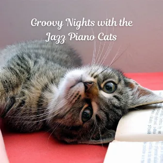 Groovy Nights with the Jazz Piano Cats by 