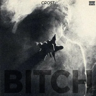 Bitch by Crost