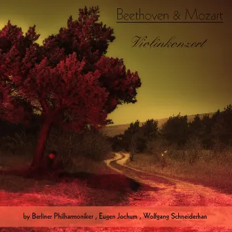 Beethoven & Mozart: Violinkonzert by Wolfgang Schneiderhan