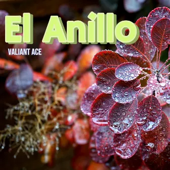 El Anillo by Valiant Ace