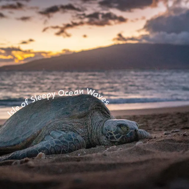 Calming Surf