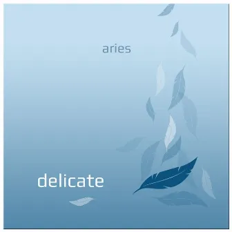 Delicate by Aries