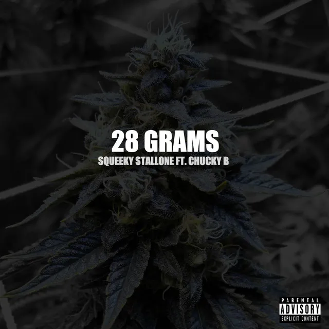 28 Grams (feat. Chucky B)