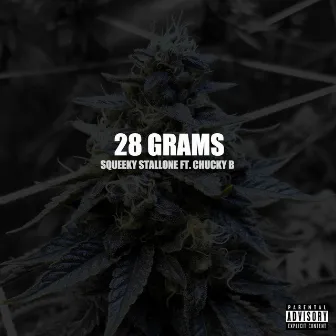 28 Grams (feat. Chucky B) by Squeeky Stallone