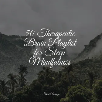 50 Therapeutic Brain Playlist for Sleep Mindfulness by Lullaby Babies