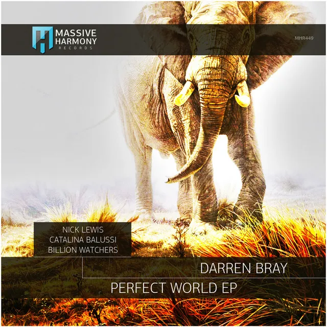 Perfect World - Catalina Balussi Remix