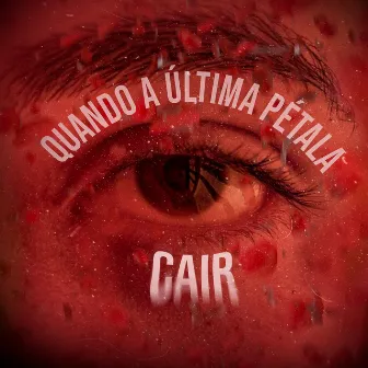 Quando a Última Pétala Cair by Dé