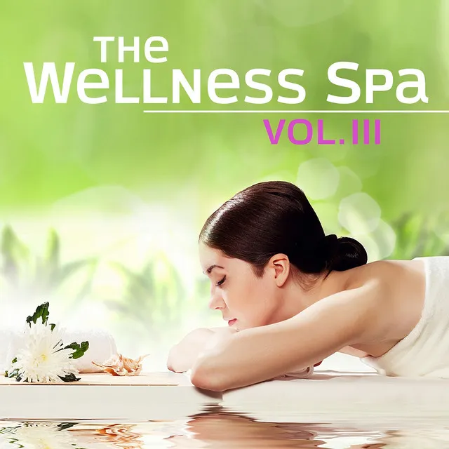 The Wellness Spa, Vol. 3 (Soft Instrumental Piano Music for Meditation, Relaxation, Massage, Stress Relief, Sound Therapy, Healthy Sleep and Sauna)