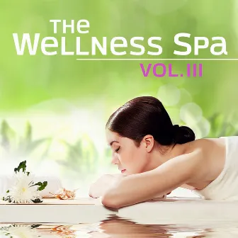 The Wellness Spa, Vol. 3 (Soft Instrumental Piano Music for Meditation, Relaxation, Massage, Stress Relief, Sound Therapy, Healthy Sleep and Sauna) by Martin Stock