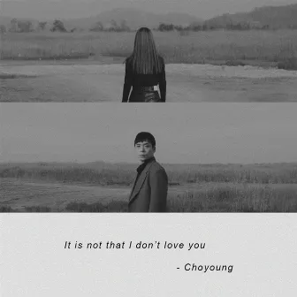 It is not that I don't love you by Choyoung