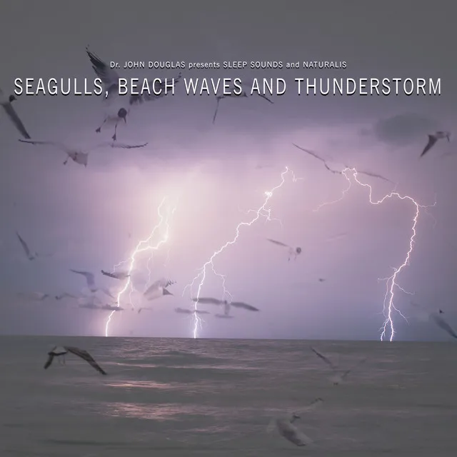 Seagulls, Beach and Distant Thunderstorm