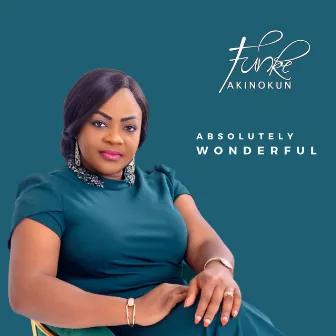 Absolutely Wonderful by Funke Akinokun