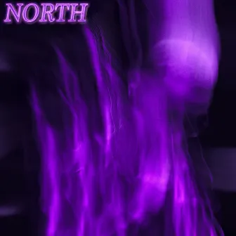 NORTH by 28 FLAIR