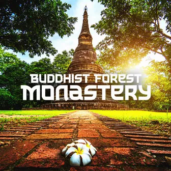 Buddhist Forest Monastery: Pray with Forest Monks, Nature Meditation Music, Forest Temple Ambience by Buddhist Meditation Temple