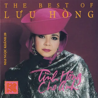 Tình Hồng Cho Anh by Lưu Hồng