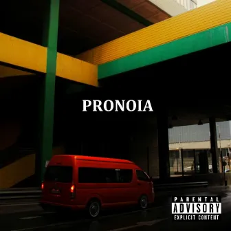 Pronoia by Majeed