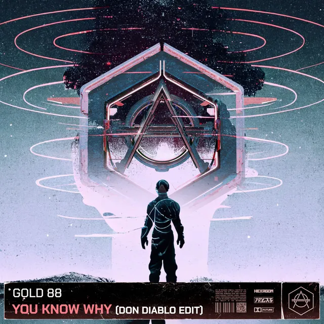 You Know Why - Don Diablo Edit