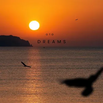 Dreams by Oto