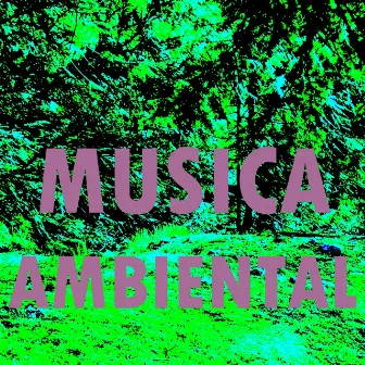 Musica Ambiental by Musica Ambiental