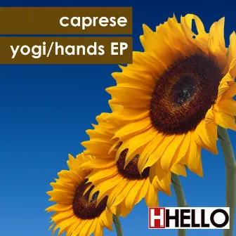 Yogi / Hands by Caprese